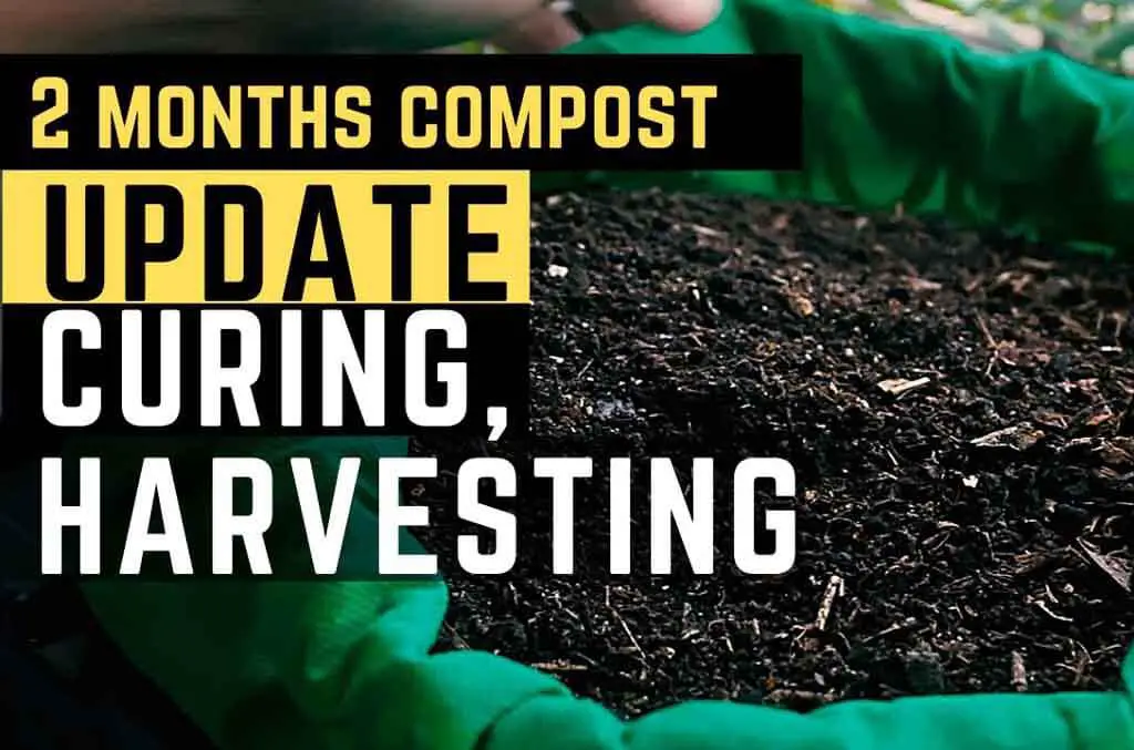 Curing composts -compost manufacturing process