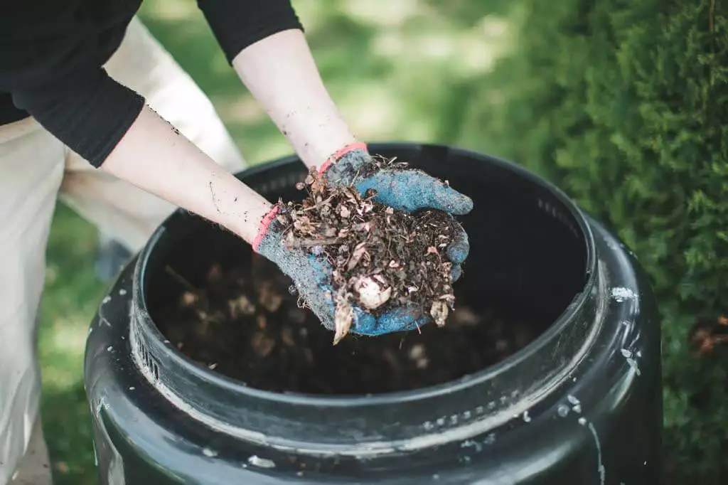 The secret to Healthy Compost Pile