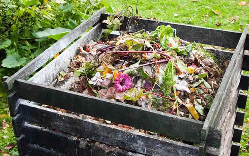 Ideal Compost Location