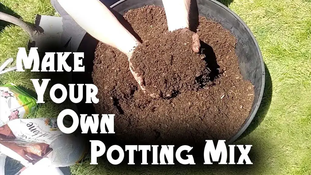 Make a Potting Mix
