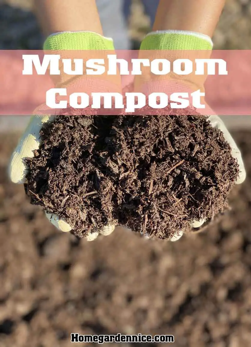 several different mushroom compost types