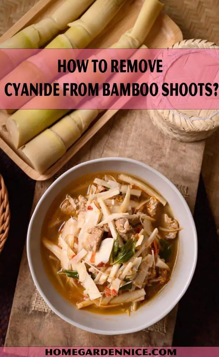 How to Remove Cyanide From Bamboo Shoots