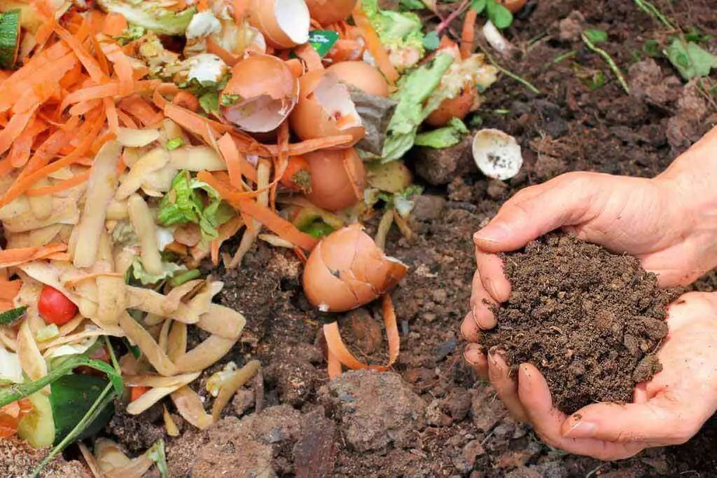 How to compost at home is a simple project that can be customized to your needs.