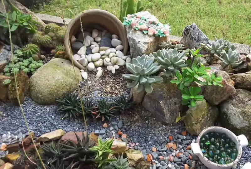A Rock Garden Out Of Succulents