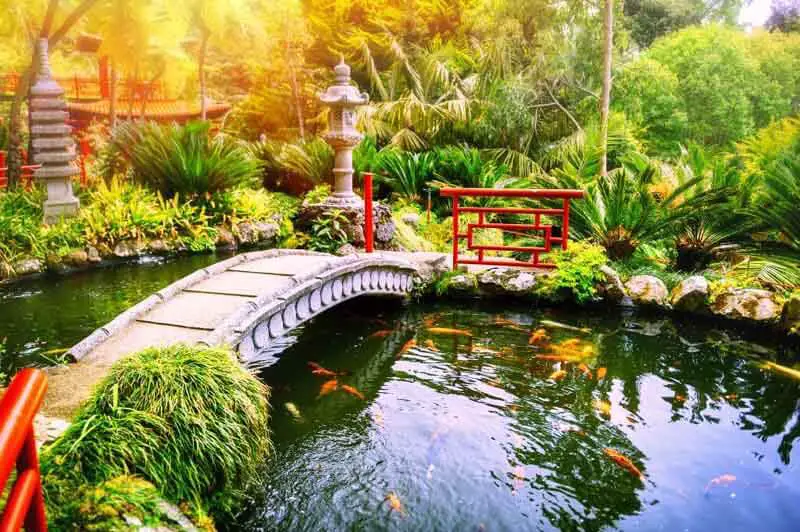 Alpine Garden With Small Water Pond And Bridge