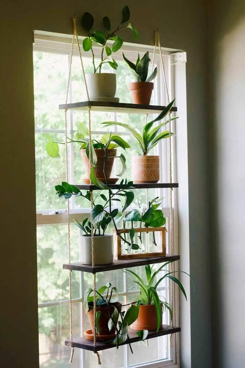 Benefits Of The Window Plant Shelf