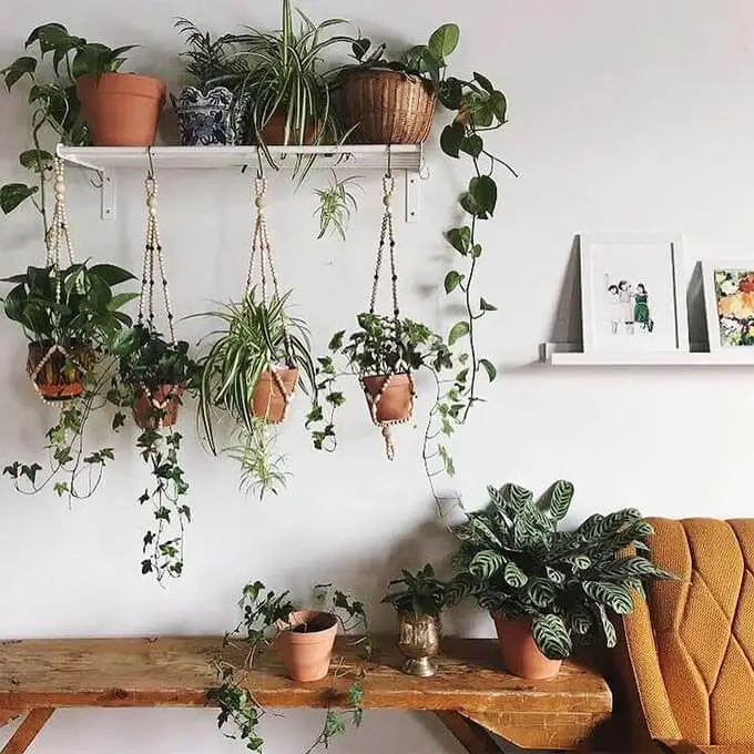 Hanging Single Shelf With Hanging Plants Below
