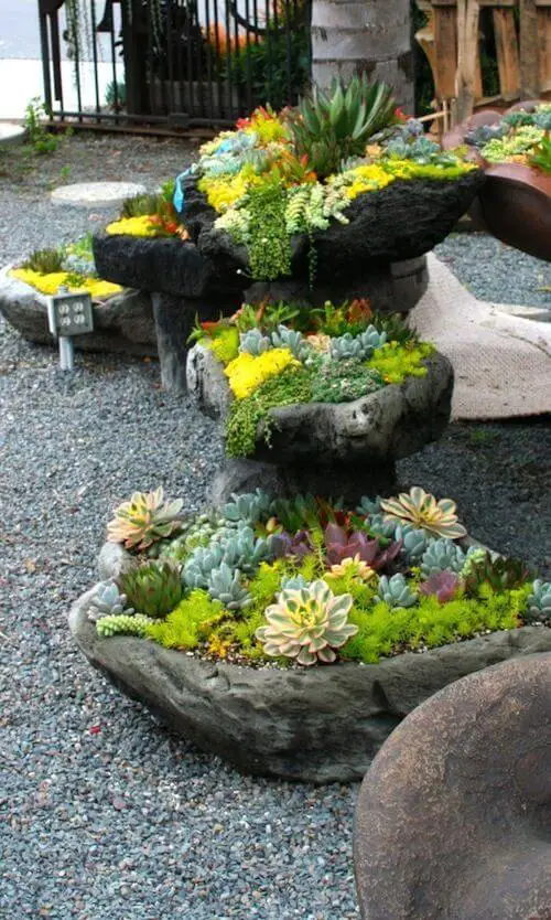 Planters On Rock