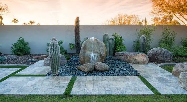 Rock Garden With Cactus Plants