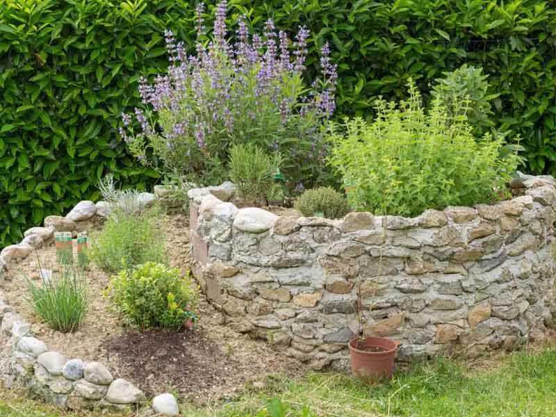 Rock Garden With Rock-Walled Herb