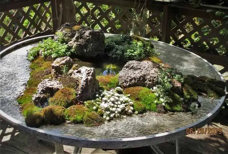 Tabletop Rock Garden