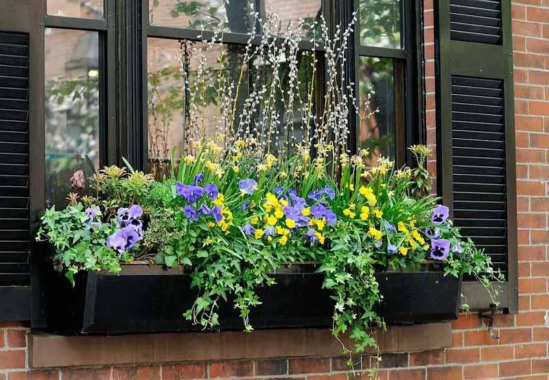 Window Boxes For Plants