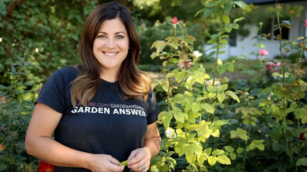 Who-Is-Garden-Answer-homegardennice