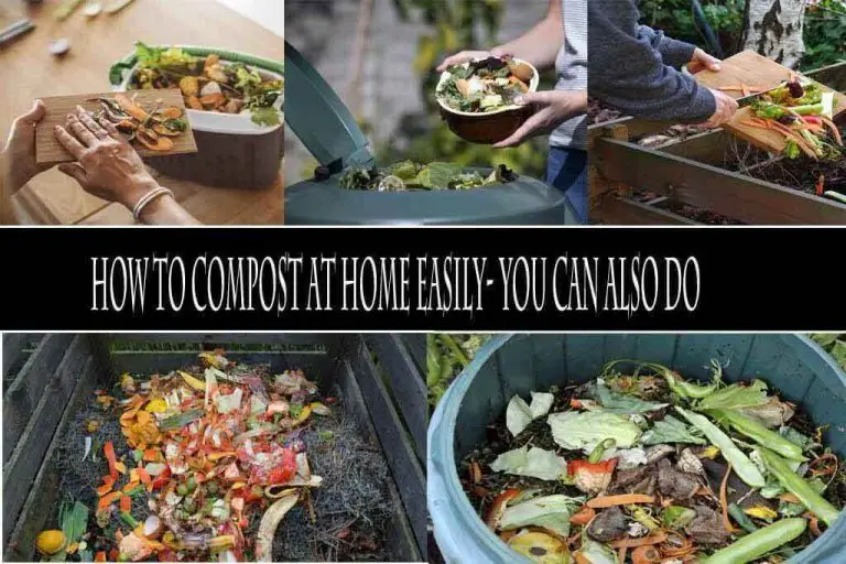 How to Compost at Home Easily- You Can Also Do