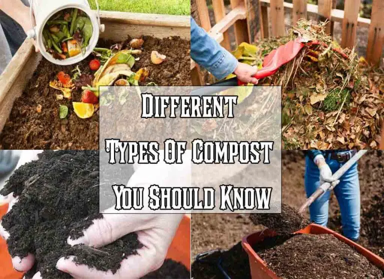Different Types Of Compost