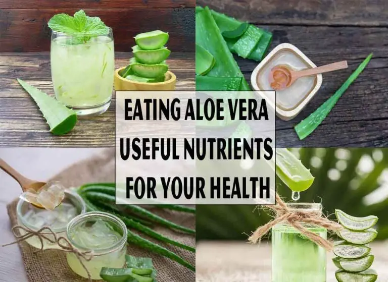 Eating Aloe Vera Useful Nutrients For Your Health
