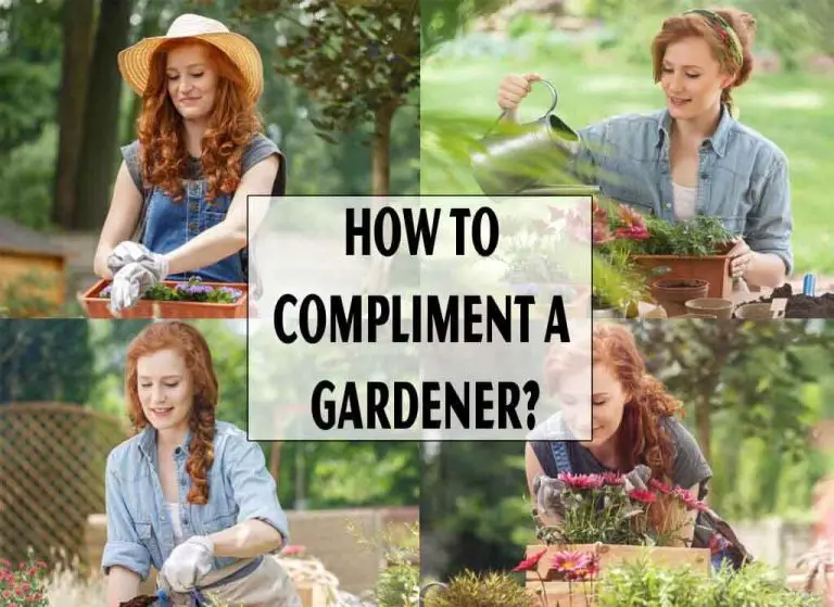 How To Compliment A Gardener