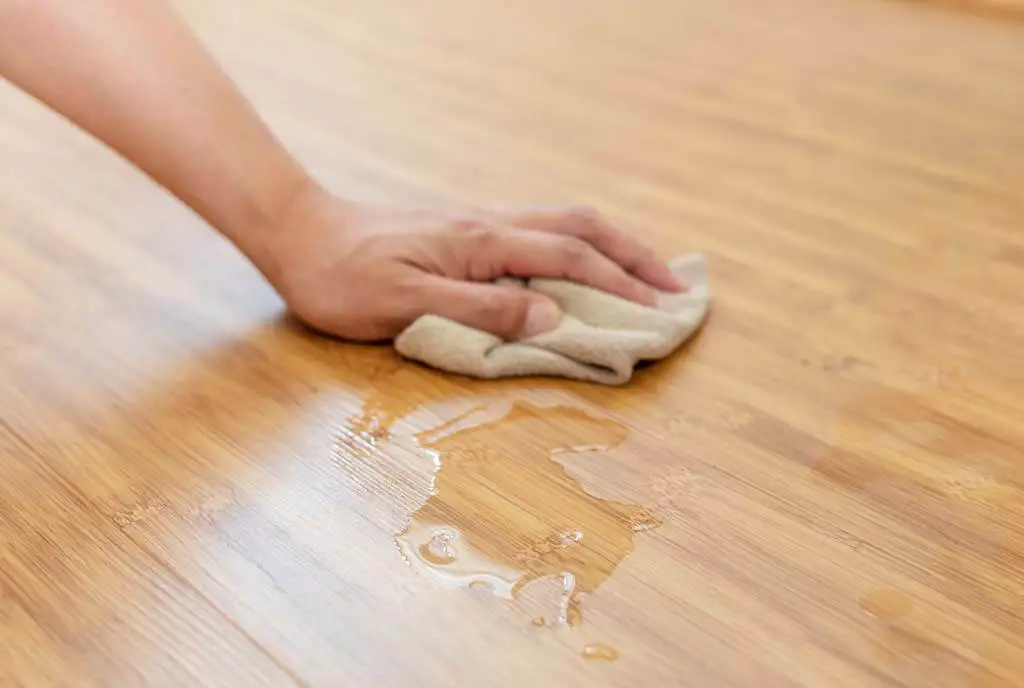 Remove Any Stains Or Scuffs
