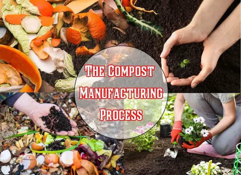 The Compost Manufacturing Process
