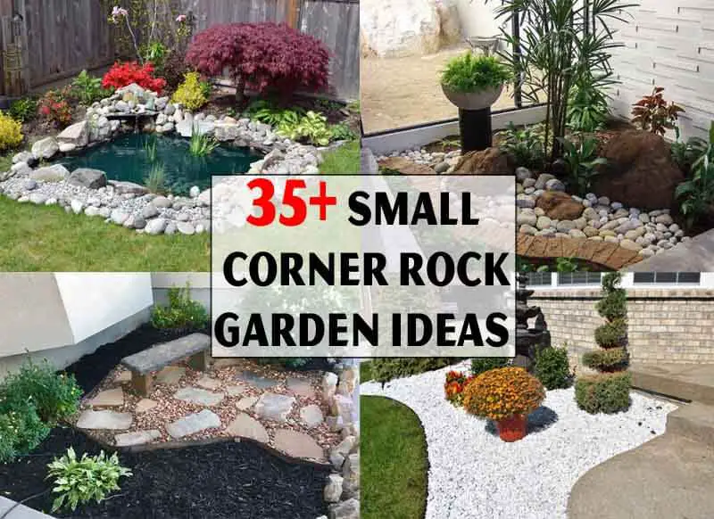 35+ Small Corner Rock Garden Ideas (Full Image) | Home Garden Nice