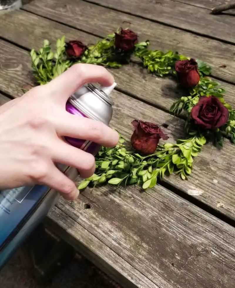 How To Preserve Fresh Roses With Hairspray
