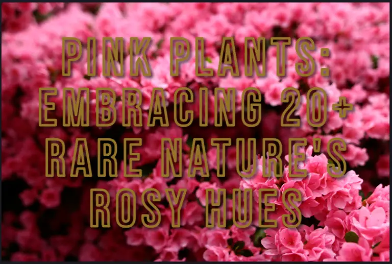 Pink-Plants-Embracing-20+-Rare-Nature's-Rosy-Hues-homegardennice